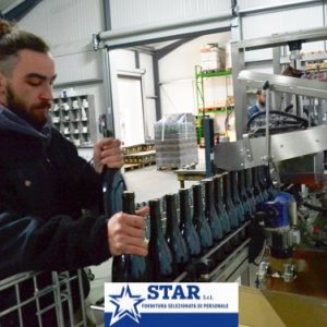 Operaio Etichettatura Verona Operaio Etichettatura Verona